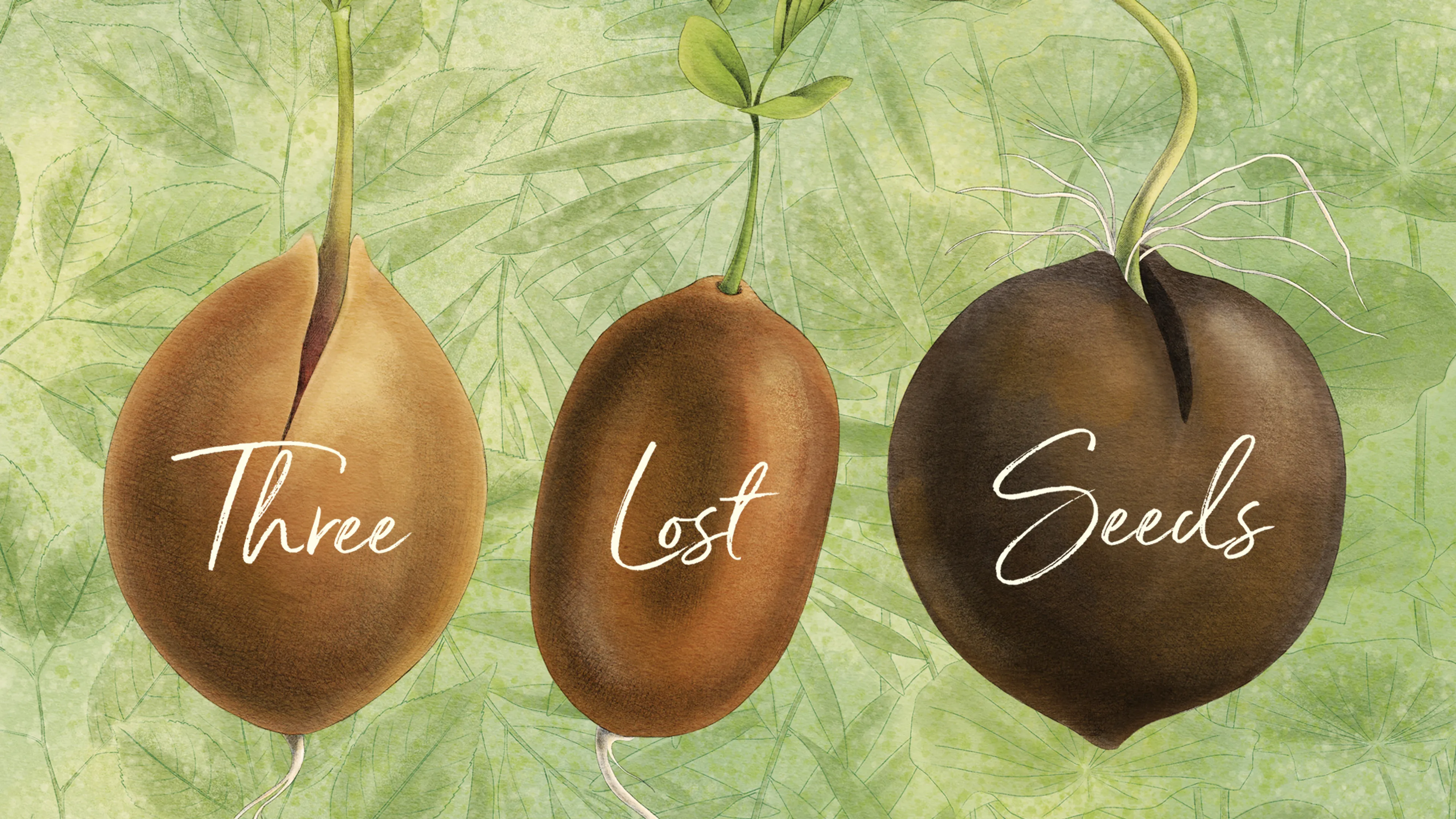 Three Lost Seeds: Stories of Becoming poster